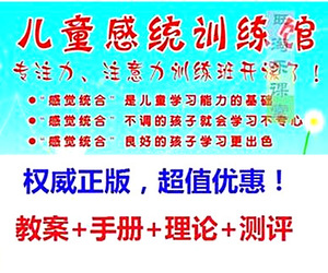 感统教案 感觉统合训练书 教程5书+视频+软件