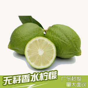 烙印本地香水柠檬 水果新鲜现摘无籽柠檬西柠