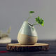 Jingdezhen ceramic modern creative small flower home accessories vase ceramic art flower decoration garden tea ceremony flower Jingdezhen ceramic modern creative small flower home accessories vase ceramic art flower decoration garden tea ceremony flower