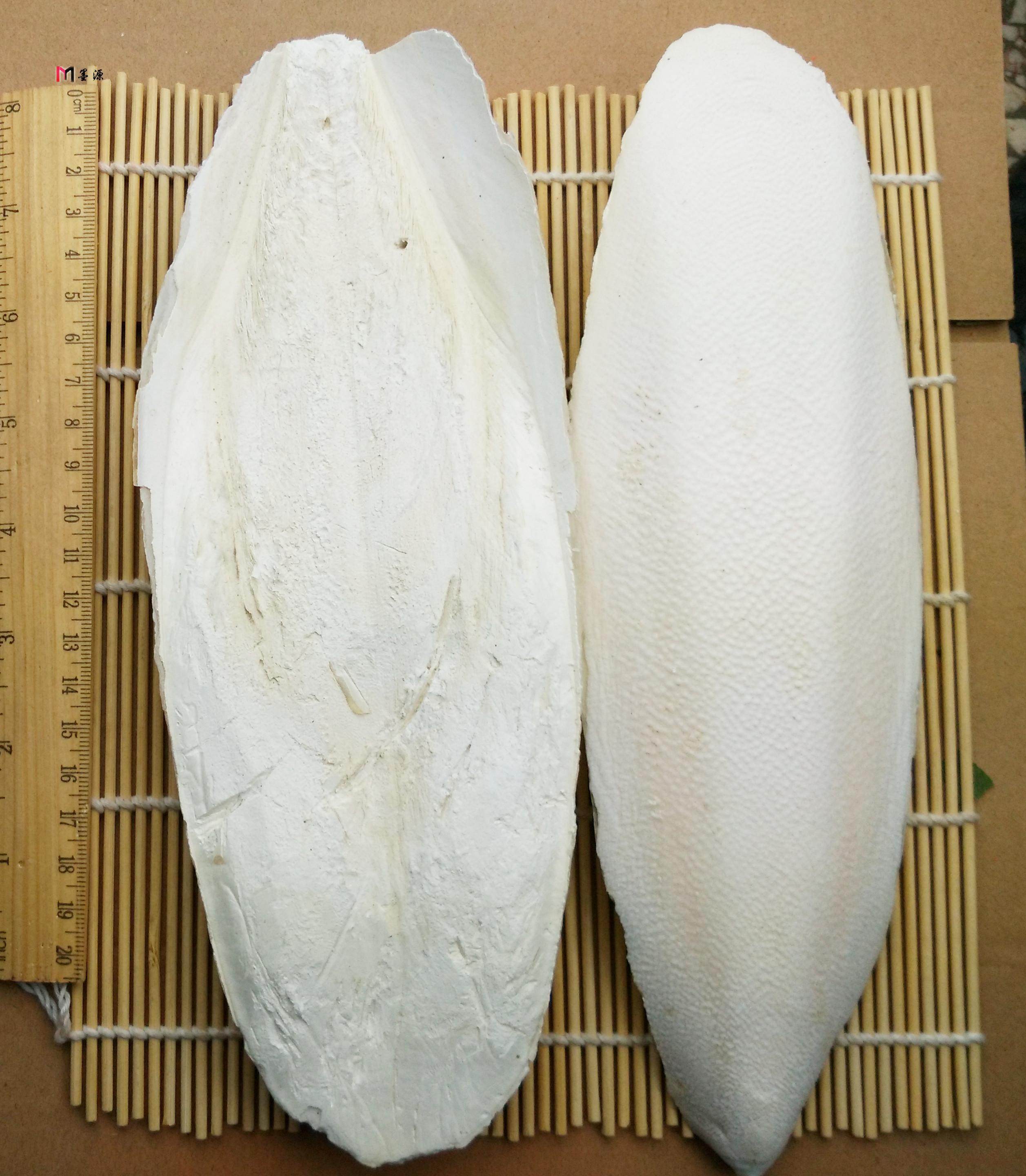 轩仁堂海螵蛸乌贼骨墨鱼骨粉50g洁牙粉海螵蛸海蛸lj