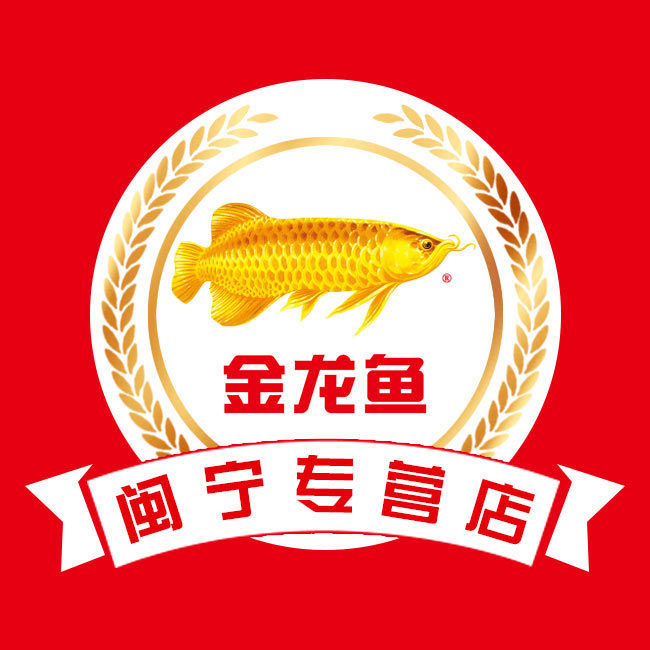 闽宁食品专营店