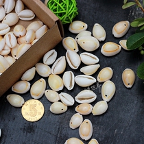 Natural perforated conch shell with eye gold edge shell Mini small treasure snail White Sea coin diy handmade material Micro