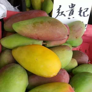 攀枝花 芒果红贵妃5.5元一斤优惠价5.50元,芒果
