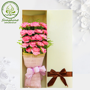 支红粉紫色康乃馨鲜花礼盒花束深圳同城速递送