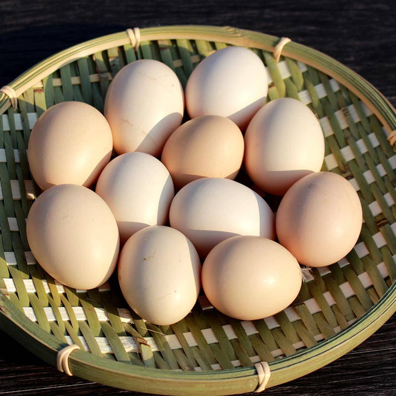 【天农】满199减20 农家散养新鲜谷粮饲养土鸡 清远土鸡蛋 30枚产品展示图2