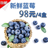 新鲜蓝莓鲜果蓝莓水果包邮125g*4盒装包邮共500g 新鲜孕妇水果