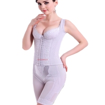 Herilanti light purple body manager body plastic corset waist clip back armour waist clip back armor plastic pants women