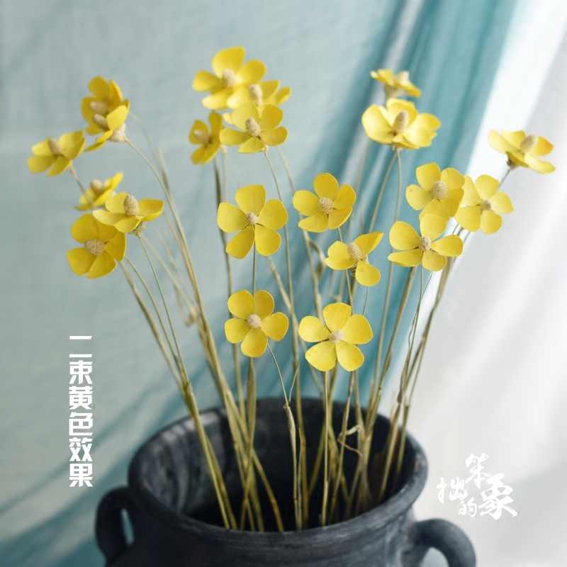 violets, butterflies, dried flowers, bouquets, real flowers, art living room decorations, shooting props, materials, handmade immortal flowers