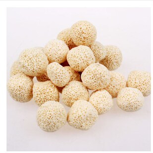 鱼缸水族箱培养硝化菌纳米远红外细菌球细菌屋生物珠500g包邮