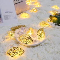 Hollow gold leaf high-end light led lantern flashing light string light Net red ins girl heart room bedroom decoration layout