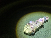 (back to that time No 219)JO's winding art clear heart pendant solitary product