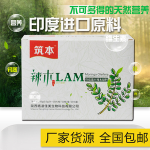 辣木叶片 印度进口辣木 压片糖果 增强免疫力排