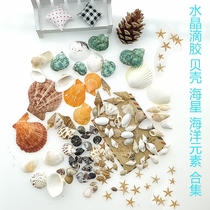 Crystal Drop Glue Notebook Ashtrays Pendant Handcrafted Marine Elements Various Shells Small SeaStar Fillers