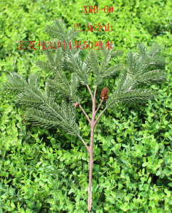 仿真植物假杉树叶巴山冷杉叶杉科红杉叶背景D