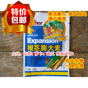 大剂 山药土豆莴苣牛蒡地瓜芋头葱姜蒜中药材