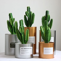 ins flowerpot chi metal industrial wind simulation cactus multi-meat potted iron vase flower shooting props