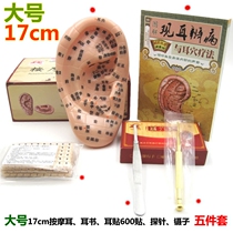 Ear sticker ear point sticker king does not leave the line seed sticker large 17cm ear model acupoint press probe ear bean sticker massage