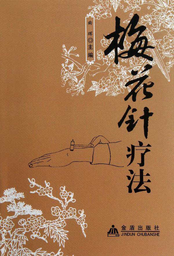 梅花针疗法 畅销书籍 中医养生 正版