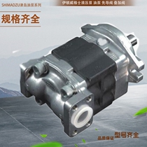 Japan SHINADZU Oil Pump Japan Shimadzu Oil Pump SGP1-16F2H1-R SGP1-16F2H2-L