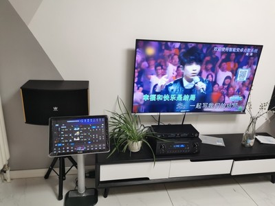 威钻 H8家庭ktv反馈好不好