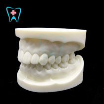 White Corundum Dentist to practice preparation for dental model teeth Tooth Hardness Preparation of Tooth Polished Baking Porcelain Base Tooth