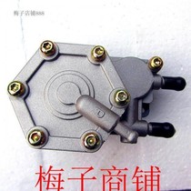 Applicable Futian Lu Qi Road Unicycles Four-wheelers Old Age Scooter Accessories Carburetor Petrol Pump Self-Priming Pump