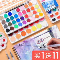 Lion solid watercolor paint 36 color solid-state split painting powder children non-toxic gouache painting tool set small