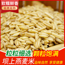 (2020 new rice)Green Dam oatmeal rice Dam grassland naked oatmeal farmers boiled porridge rice five grains 5 pounds