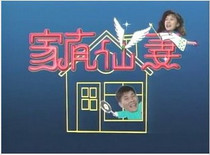 支持DVD《家有仙妻1》澎恰恰 林以真 清晰版40集5碟