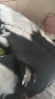 非常好看，非常性感，很适合。