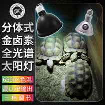 Climbing pet metal halogen lamp UVAUVB full spectrum sun lamp set tortoise free mane lion lizard succulent plant aquarium