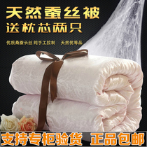 Lidia luxury padded mulberry silk core cotton silk quilt warm child mother quilt spring and autumn winter quilt 100% double