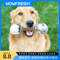 Dog Toys Bite-resistant Tooth-Proof Rope Knot Toy Matchup Dog Puppies Toy Small Dog Toy Pet Toy