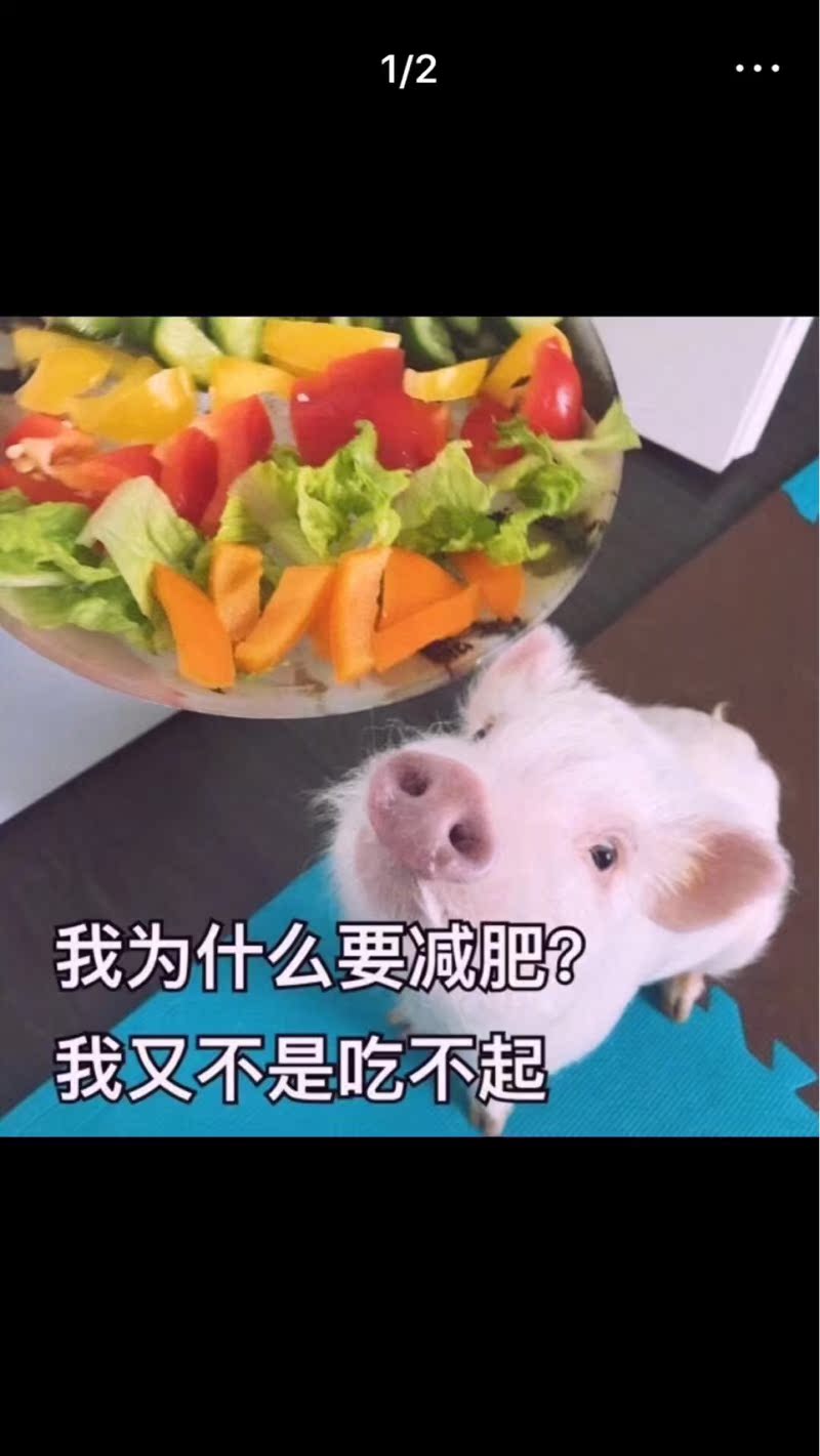 光行者iPhoneX手机保护套/壳