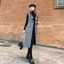 2019 Spring and Autumn New Thousand Bird Tian Tian Tian Womens Long Korean Skinny Double-faced Jacket Sleeveless Pine