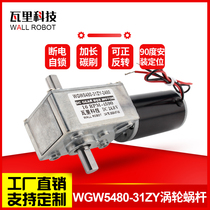6V12V24V micro DC high torque self-locking motor for 4058GW31ZY worm gear reducer
