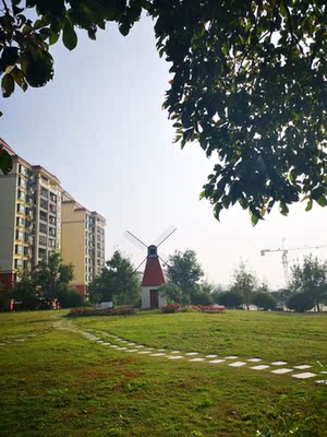 黑色偏小     买了很多次   满意