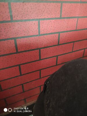 哇哈哈哇哈哈哈哈哈哈呵呵哈哈哈哈哈哈哈哈哈哈哈哈哈哈哈哈哈哈哈哈哈哈哈哈哈哈哈哇哈哈哇哇哈哈哇哈哈哈哈哈哈呵呵哈哈哈哈哈哈哈哈哈哇哈哈哇哈哈哈哈哈哈呵呵哈哈哈哈哈哈哈哈哈哈哈哈哈哈哈哈哈哈哈哈哈哈哈哈哈哈哈哈哈呵呵哈哈哈哈哈哈哈哈哈哈哈哈哈哈哈哈哈哈哈哈哈哈哈哈呵呵哈哈哈哈哈哈哈哈哈哈哈呵呵哈哈哈哈哈哈哈哈哈哈哈哈哈哈哈哈哈哈哈哈哈哈哈哈哈哈哈哈哈呵呵哈哈哈哈哈哈哈呵呵哈哈哈哈哈哈