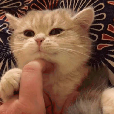 感觉还是很舒服的并且颜值也还不错，习惯了买轻薄的内衣，无钢圈的也没有什么束缚，不过说实话那个包装有点随便了，拿到的时候已经是破的了，希望卖家下次包装用心一点哈么么哒~\(≧▽≦)/~发货也还挺快的，~\(≧▽≦)/~好啦那就这样子了，后期看看要不要追评，应该是不用了