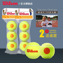 Wilson Kids Ball Training Tennis Low Compression Tennis Kids Spongeballs Tennis Little Yellow Man United