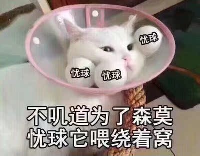 2333超好看真的超舒服就跟没穿一样(*'▽'*)♪唯一让人不开心的是我刚买完又出福利，就很QwQ