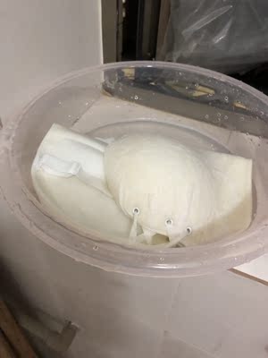 这是我在网上最差的一次购物了   在网上买东西都说一分钱一分货  如果买的便宜东西稍微过得去我一定好评 大家可以去看我的记录这是我淘宝以来的第一个差评 。先前介绍的尺码小了  拿去退换  换回来的还不是特别合适  我急着要穿  就不管了  反正就打算穿一次的 ，我买的全白  但是下水之后布料就变成黄色的了  刚新买的内衣有味道我可以接受  但是这个内衣我用沐浴露洗了一遍 肥皂洗了一遍 味道还越来越重 没办法我就用内衣洗衣液泡着  特别香的香味都掩盖不住那种难闻的味道    要买的都注意了  天猫介入都退不了货   他们的手续齐全   没下水之前除了尺码什么都好   等下水了东西不可以退了  就什么问题都来了