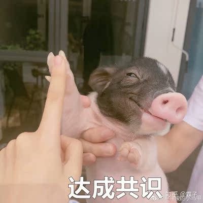 很好很好很好很好很好哈哈哈哈哈哈哈哈哈哈哈哈哈哈哈哈，，就是觉得钢圈有点硬，，，，其他的挺好的，，包的不错，，不空杯，，很薄，，，，是我喜欢的，，，料子也不错，，，喜欢喜欢喜欢喜欢喜欢喜欢喜欢喜欢喜欢喜欢喜欢喜欢喜欢喜欢喜欢，哈哈哈哈哈哈哈哈哈哈哈哈哈哈哈哈哈哈哈哈哈哈哈哈哈哈哈哈哈哈哈哈哈哈哈哈哈哈哈哈哈哈哈哈哈哈哈哈哈哈哈哈哈哈哈哈哈哈哈哈哈哈哈哈，，哈哈哈哈哈哈哈哈哈哈哈哈哈哈哈