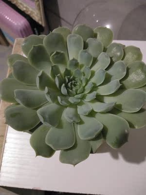 还不错，还不错