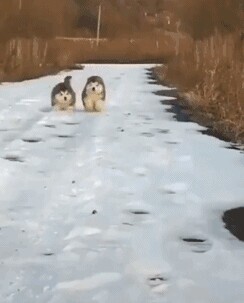 以下为乱评啦啦啦啦啦啦啦啦啦啦啦啦啦啦啦啦啦啦啦啦啦啦啦啦啦啦十里蓝山啦啦啦啦啦啦啦啦啦啦啦啦啦啦啦啦啦啦啦啦啦啦啦啦啦啦啦啦啦啦啦啦啦啦啦啦啦啦啦啦啦啦啦啦啦啦all阿拉啦啦啦啦啦啦啦啦啦啦啊啦啦啦啦啦啦啦啦啦啦啦啦啦啦啦啦啦啦啦啦啦啦啦啦啦啦啦啦啦啦啦啦啦啦啦啦啦啦啦啦啦啦啦啦啦啦啦啦啦啦啦啦啦啦啦啦啦啦啦啦啦