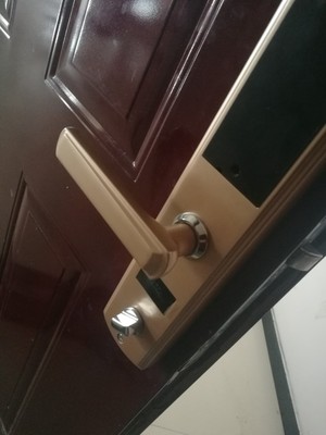 揭秘良心评价伊莱诗指纹锁好不好,伊莱诗指纹锁怎么样,很好吗