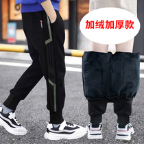 Boys velvet pants autumn and winter thick section 2020 new casual childrens middle and large children loose thickened outside wear foreign style