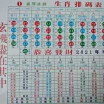 2021 Toto Zodiac card Hong Kong Taiwan Macau universal wave color five elements reference table
