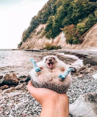 穿是挺好穿，就是有时候上面的蕾丝会露出来。。