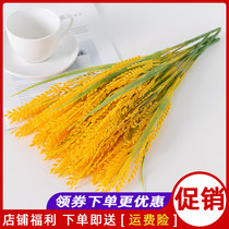 Fake Rice Valley Emulation Rice Ears Wheat Ears Flowers Bouquet Decoration Pendulum Pieces Plastic Dry Flowers Living-room Home Dining Table Interior Furnishing